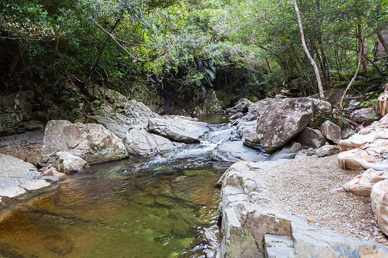 Das Fl&uuml;sschen sprudelt parallel zu unserem Weg
