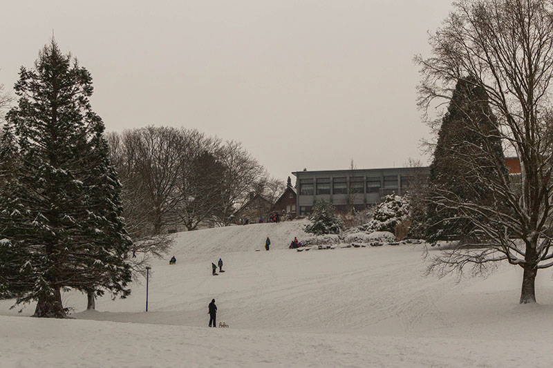 Einige Leute beim Rodeln