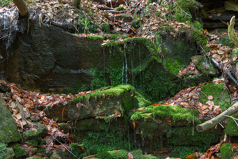 An anderer Stelle tröpfelt es wenigstens noch