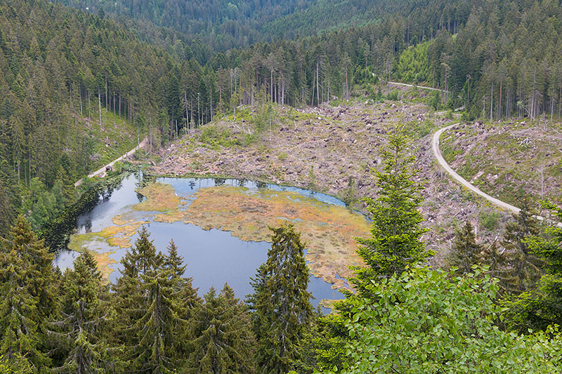 Noch ein letzter Blick ...