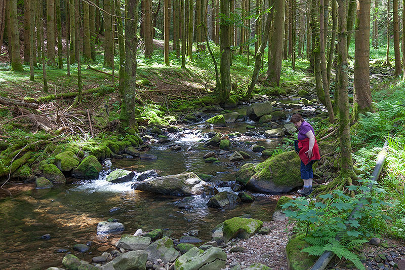 ... und m&uuml;ssen nun sehen, wie wir wieder auf den richtigen Weg kommen