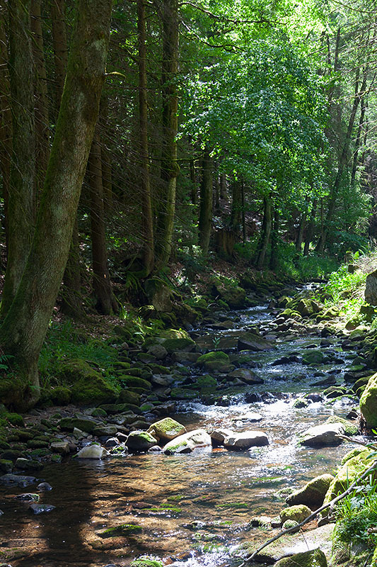 Irgendwie haben wir uns gleich am Anfang verlaufen ...