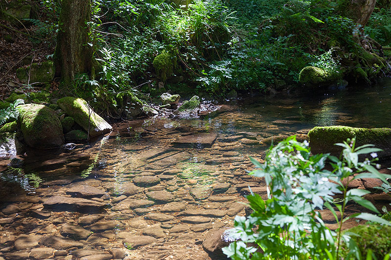 Au&szlig;erdem sch&ouml;ne klare B&auml;che
