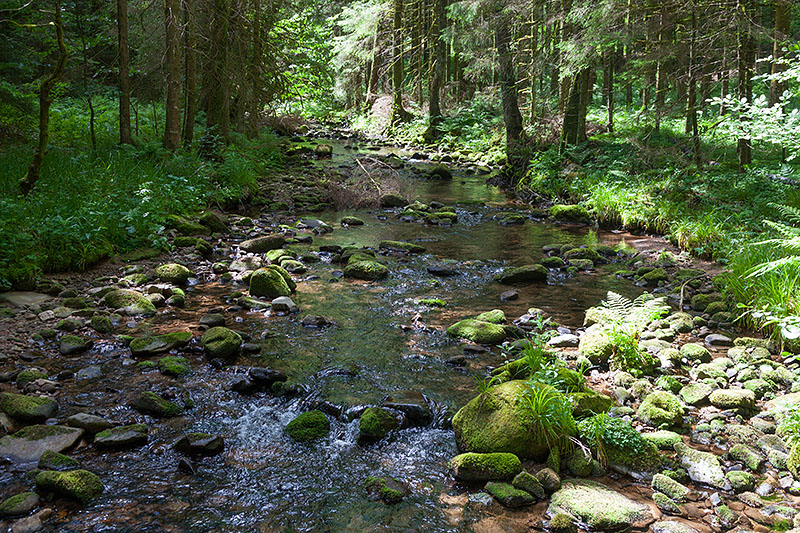 Auch da mussten wir rüber