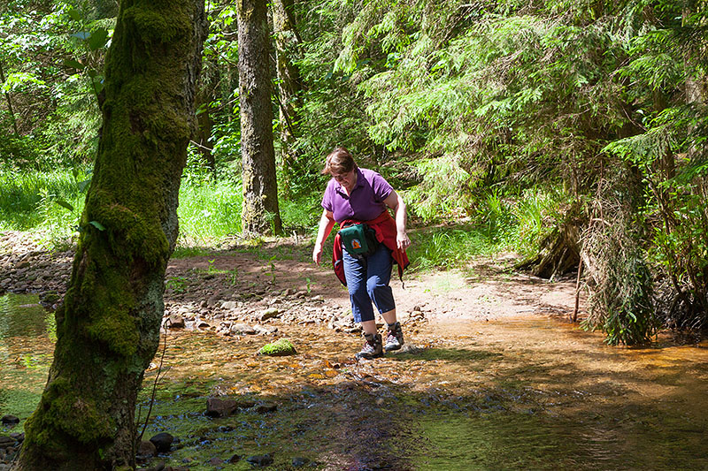 ... dann wären uns ein paar rutschige Bachquerungen erspart geblieben
