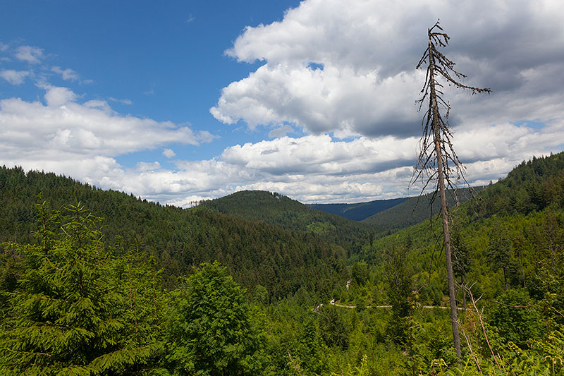Blick auf die Schwarzwaldh&ouml;hen