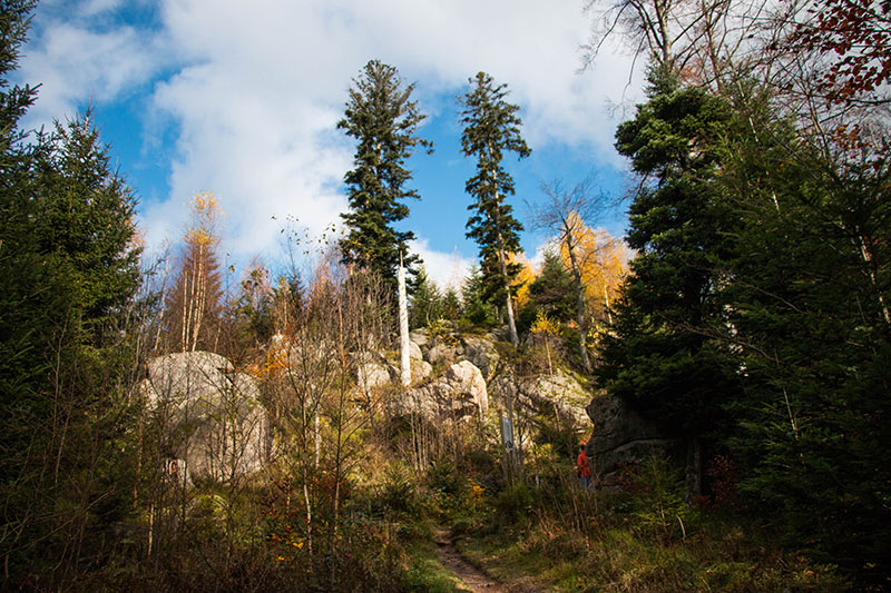 Die Felsen sind ein ideales Gebiet f&uuml;r Luchse