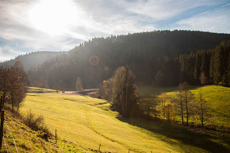 Endlich mal wieder Sonne