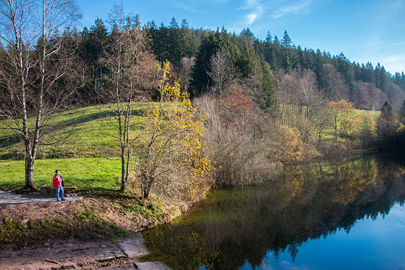 Am M&auml;rtesweiher