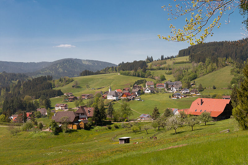 ... bei jedem Blick