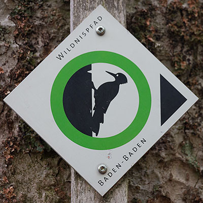 Kennzeichnung des Wildnispfads