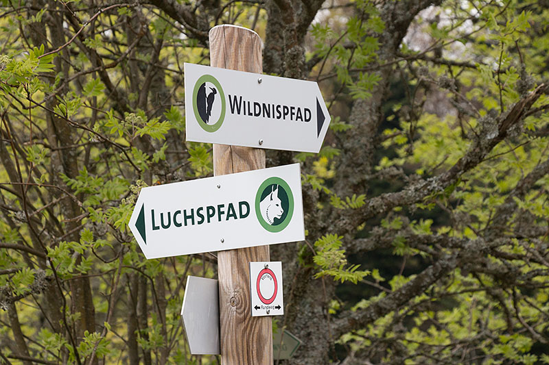 Rechts geht es entlang ...