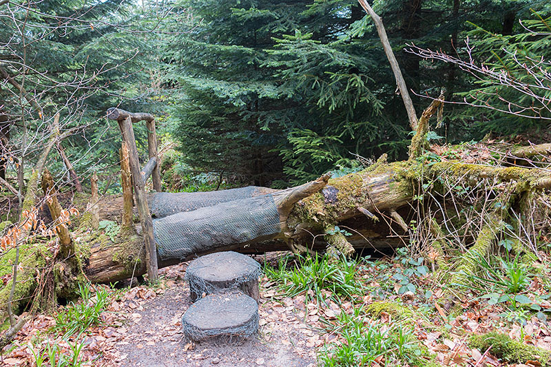 Auf dem (gez&auml;hmten) Wildnispfad