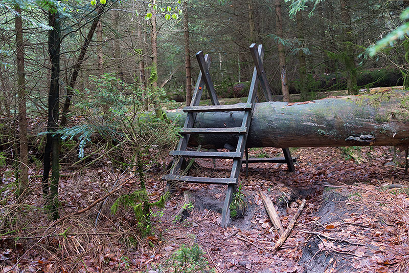 ... und hier wieder treppauf