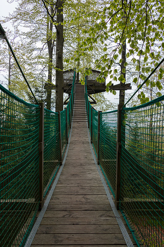 Schwankender Weg zur Aussichtsplattform Oberer Plättig