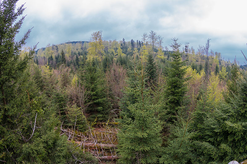 Das Wetter könnte besser sein :-(