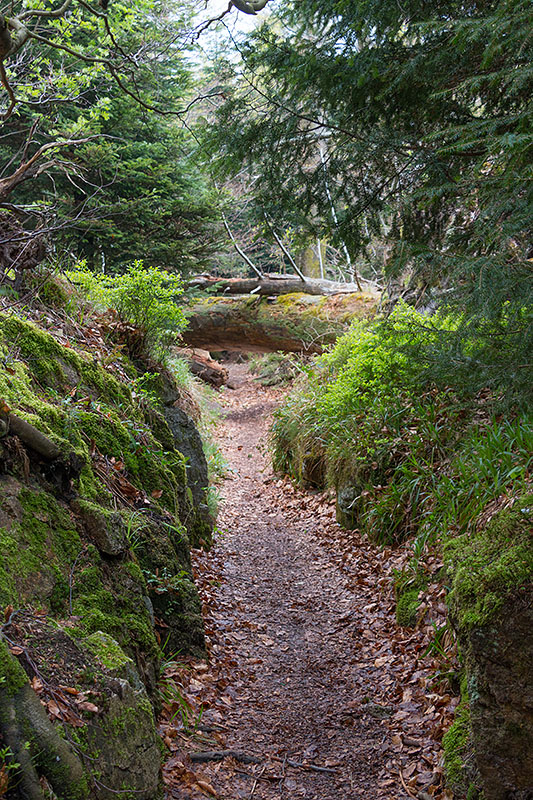 Gleich ist wieder Bücken angesagt