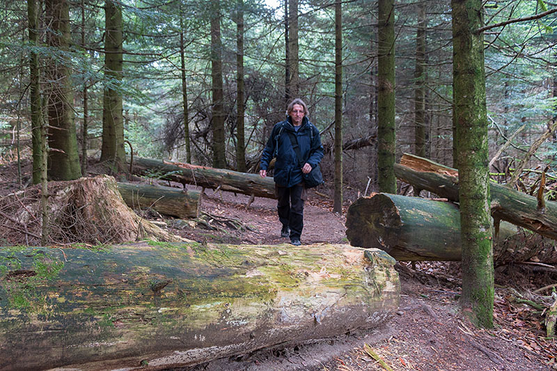 Mal ein etwas einfacherer Weg