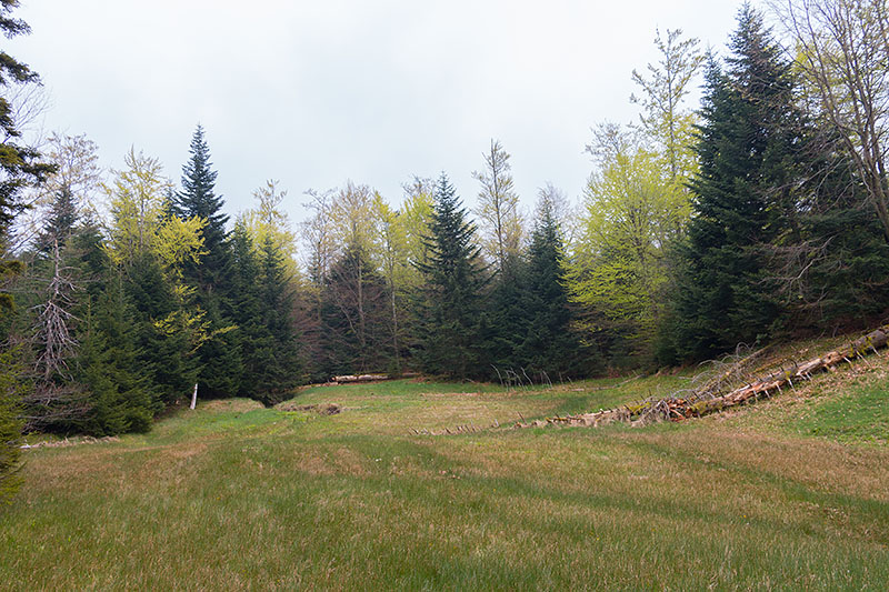 An der M&auml;rchenwiese ...