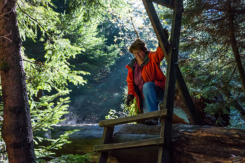 Über den Baumstamm ...