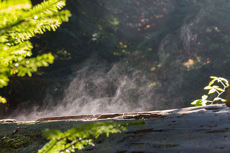 ... St. Antonius-Kapelle an (leider geschlossen)