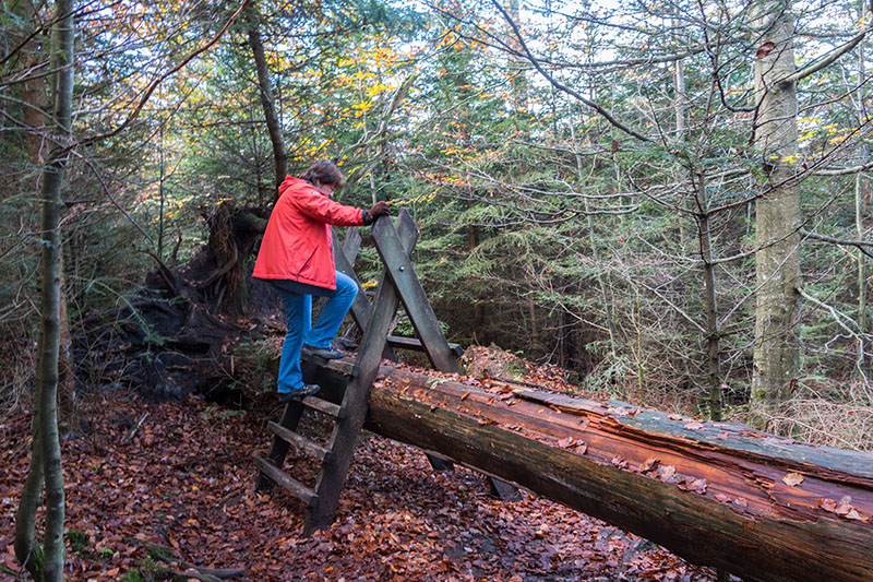 Die nächste Hürde wartet schon