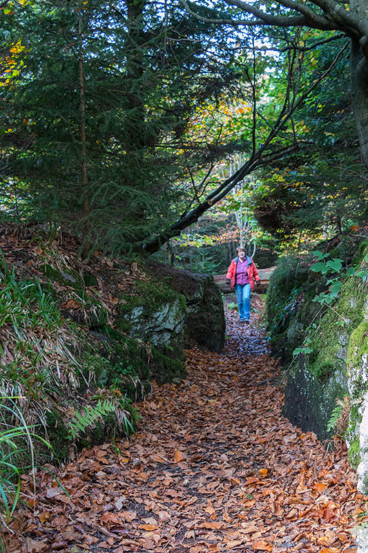 Alter Wartungspfad für Wasserleitungen