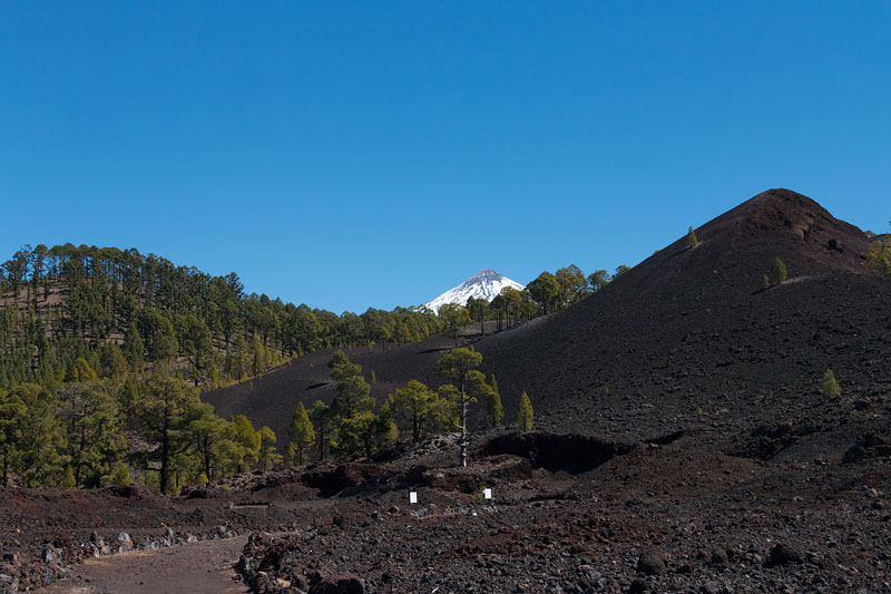 Überall spitzt der 3.718 Meter hohe Pico del Teide hervor