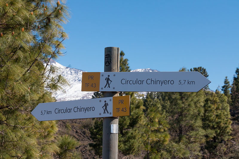 Unser Weg um den Chinyero