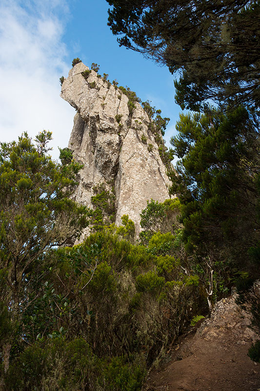 Am Roque de Anambra ...