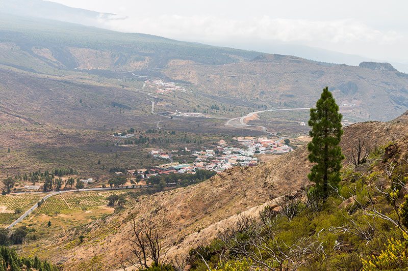 Dort unten liegt Santiago del Teide, unser Ziel