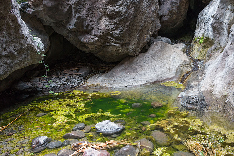 Wasserstelle