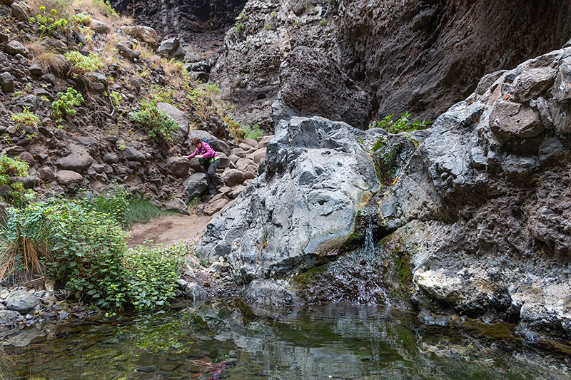 Kleiner Teich