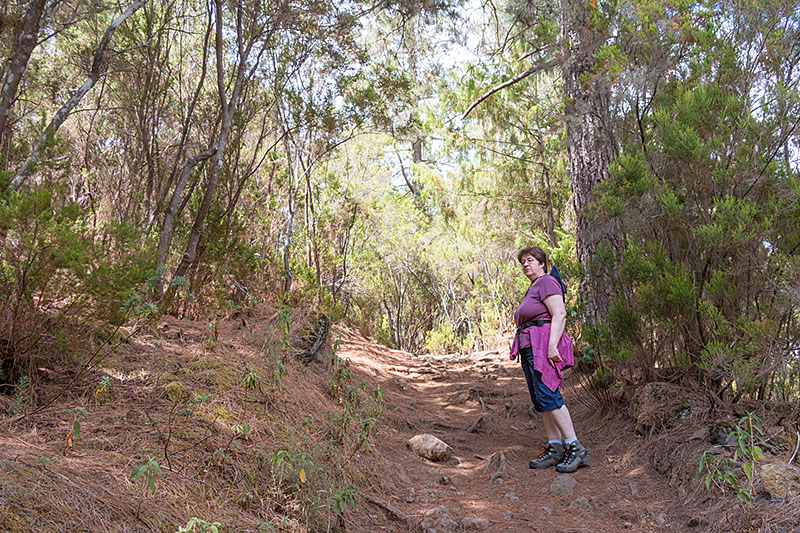 Auf dem Wanderweg zu den Orgelpfeifen