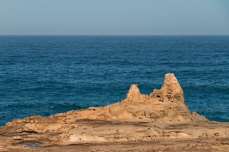 Naturkunst 3