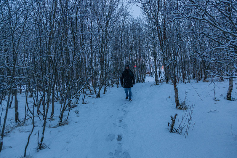 Durch verschneite Wälder ...