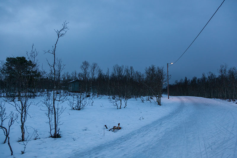 Einsame Wege durch den Wald ...