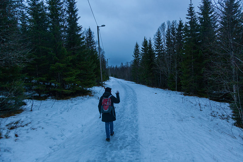 ... zumindest sind die Wege beleuchtet