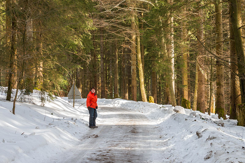 Auf dem Waldweg kurz nach dem Start