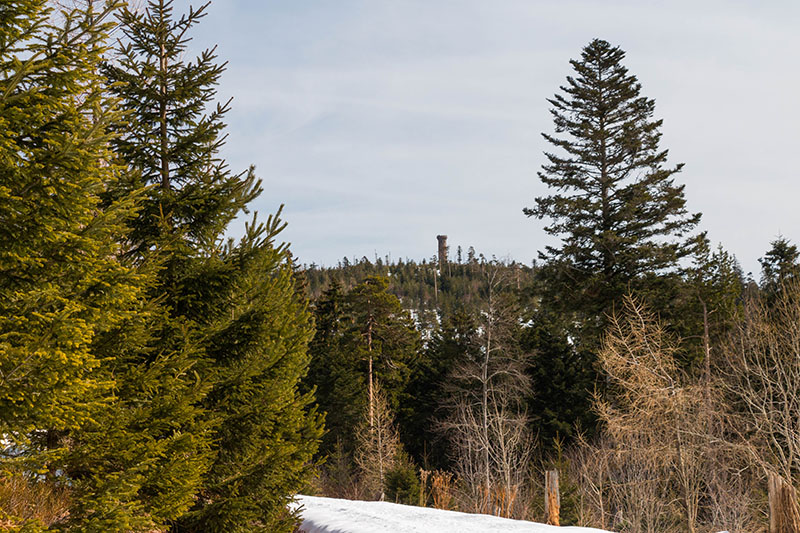 Unser Zwischenziel, der Bismarckturm