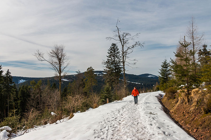 Auf dem H&ouml;henweg