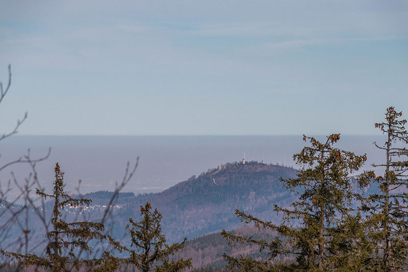 Blick ins diesige Rheintal