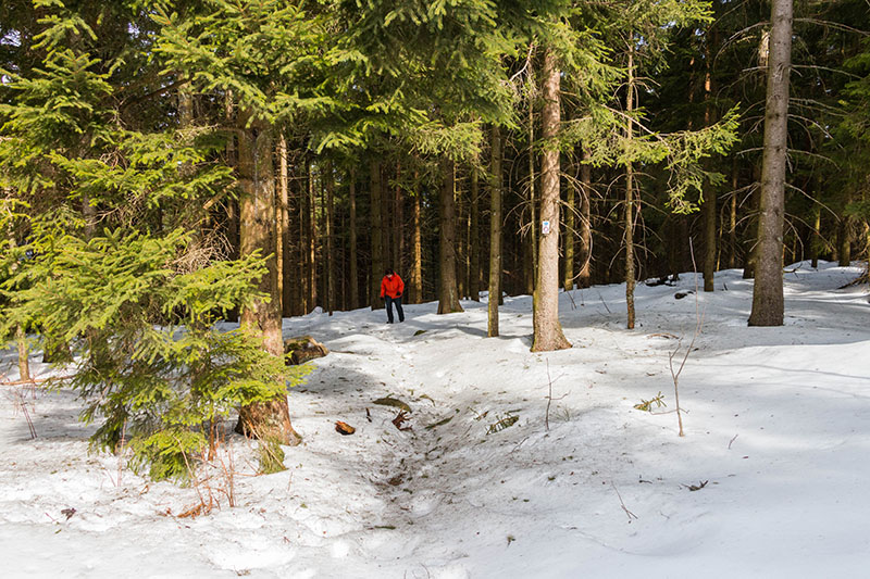 Ende des steilen, schneereichen Waldweges