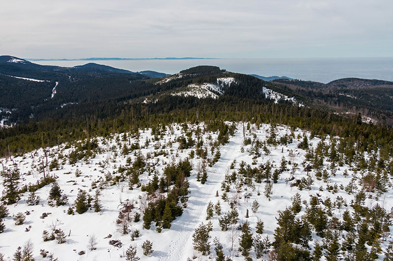 Blick vom Turm in die Landschaft