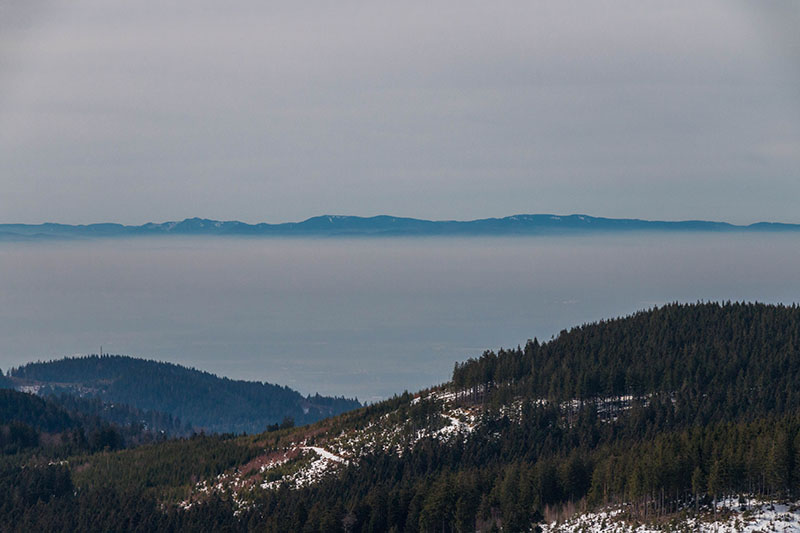 Wieder die Vogesen am Horizont