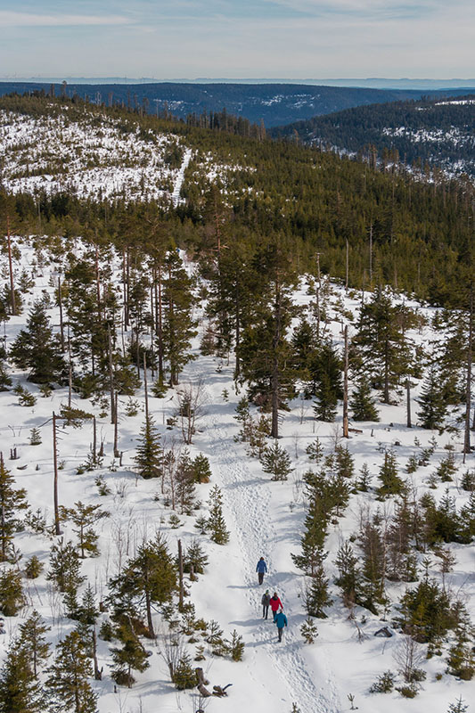 Auf diesem Weg geht es sp&auml;ter weiter