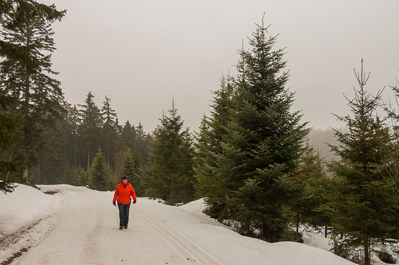 Schneebedeckte Wege ...