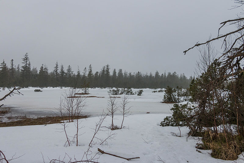 Der Hohlohsee ist zugefroren