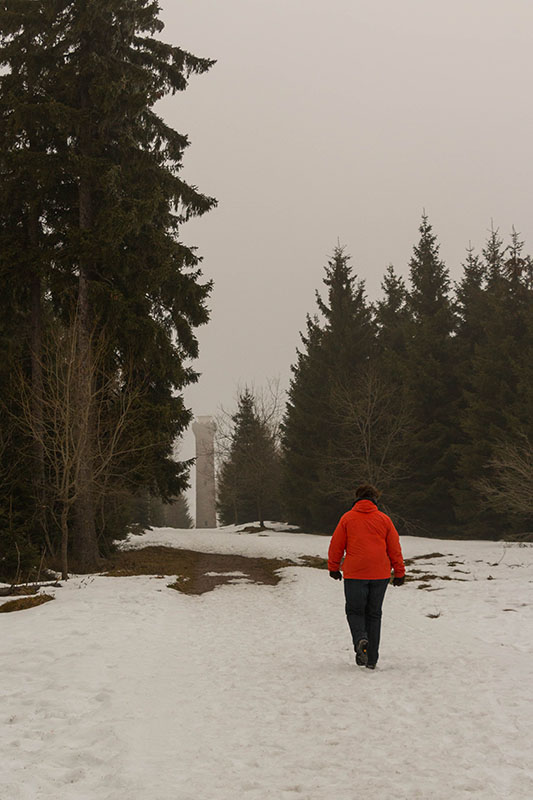 Der Hohlohturm taucht im Nebel auf