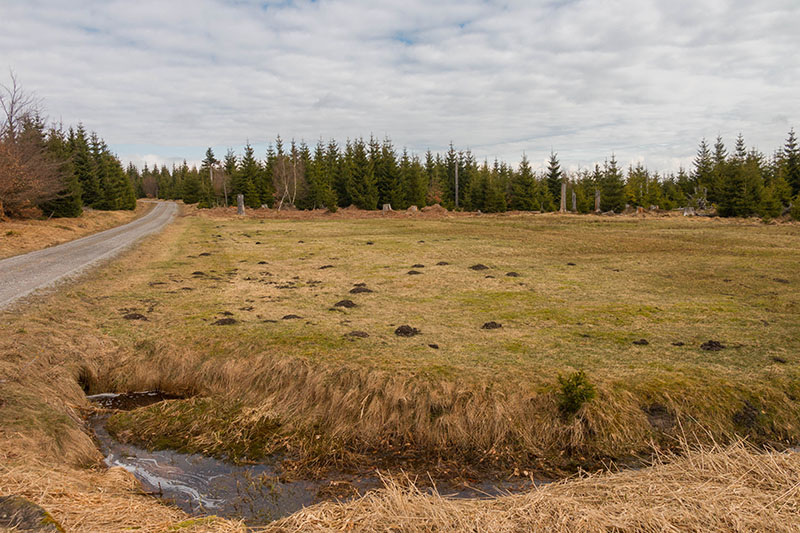 Die Maulwürfe sind schon bei der Arbeit